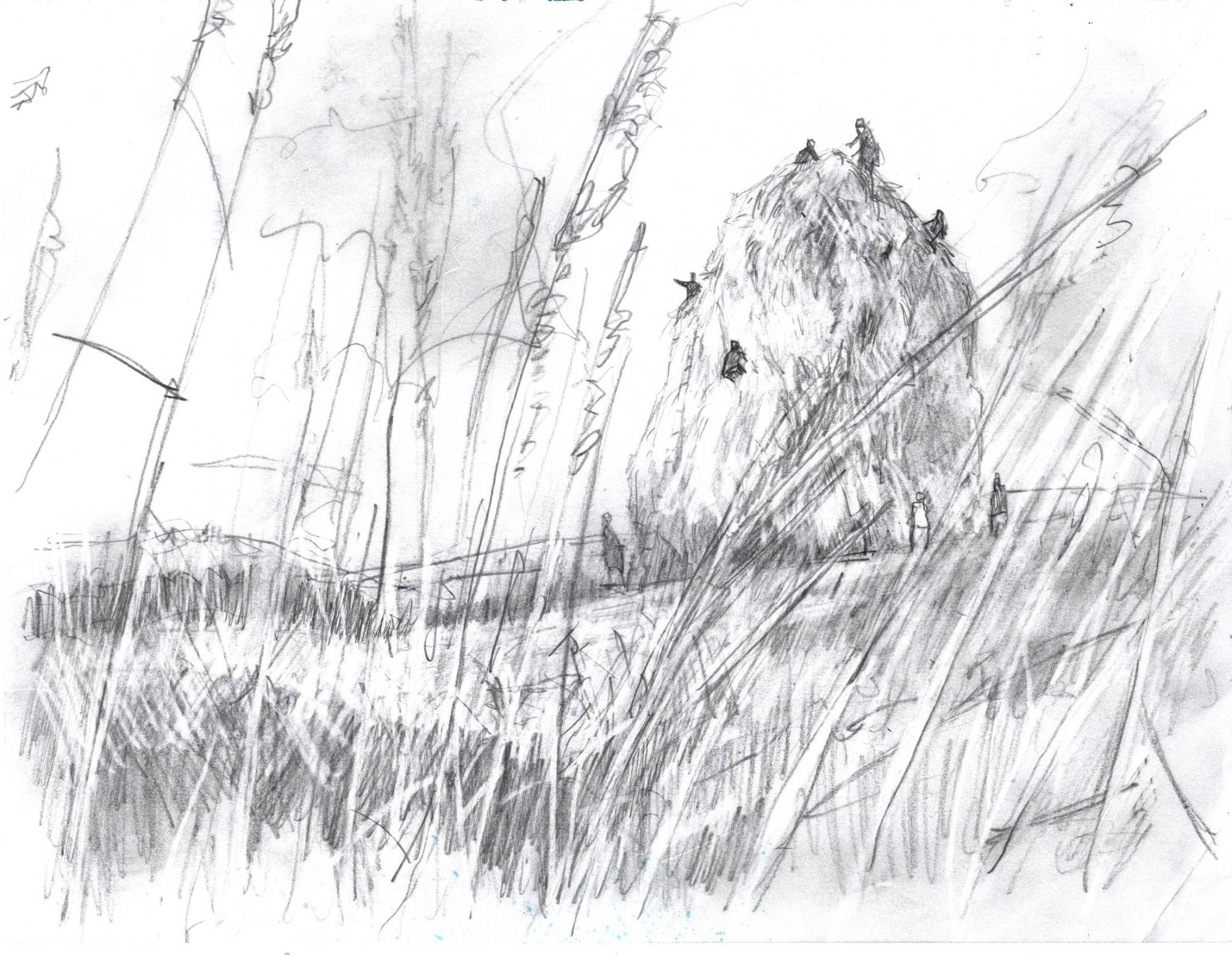 Drew Tucker's pencil drawing of a towering haystack with small figures climbing it, seen through tall grass.